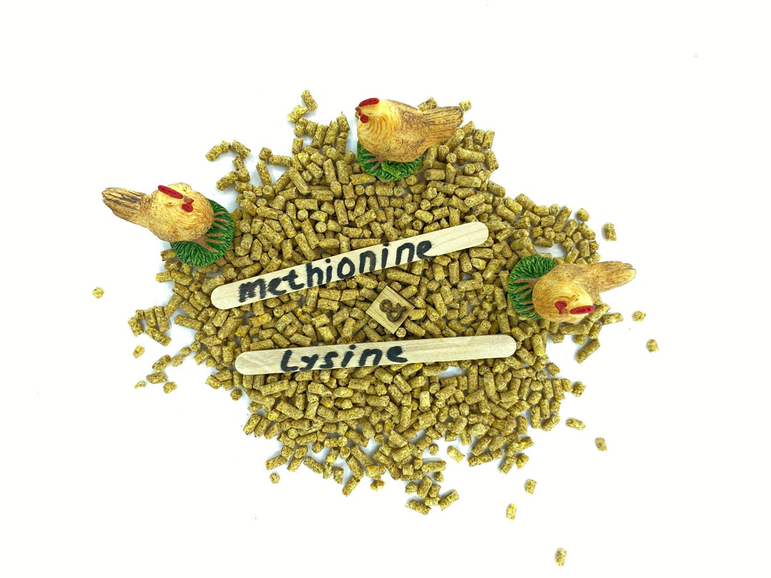 F�r die optimale Ern�hrung des Gefl�gels spielen unter anderem N�hrstoffe wie Aminos�uren eine wichtige Rolle.