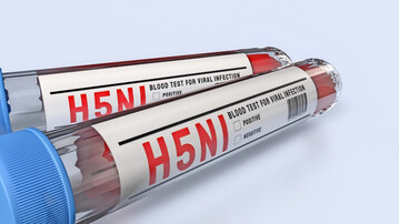 In Niedersachen gibt es wieder neue bestätigte Fälle der Aviären Influenza.