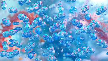 <i>E. cecorum</i>
gilt seit einigen Jahren als aufstrebender Krankheitserreger in der Broilermast. Er ist häufig an Osteomyelitiden, Arthritis und Polyserositis beteiligt und führt zu wirtschaftlichen Verlusten.