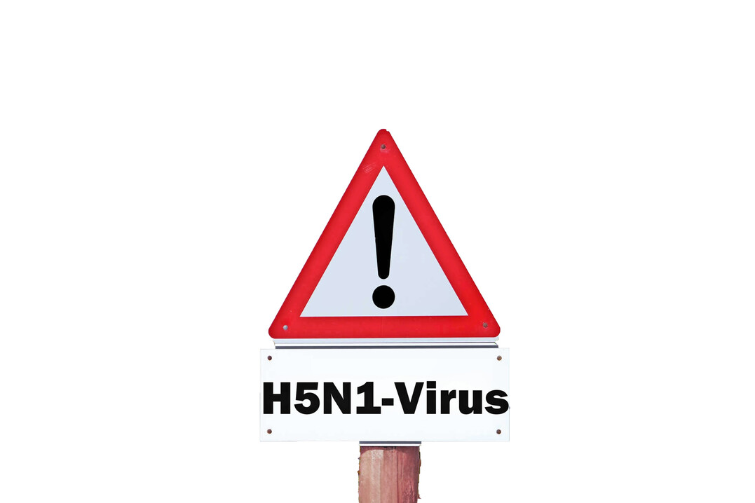 Aus den Landesverbänden und über das Tierseucheninformationssystem (TSIS) des Friedrich-Loeffler-Instituts (FLI) sind neue Fälle der hochpathogenen Aviären Influenza (HPAI) vom Subtyp H5N1 gemeldet worden. Das FLI hat alle Fälle bestätigt.