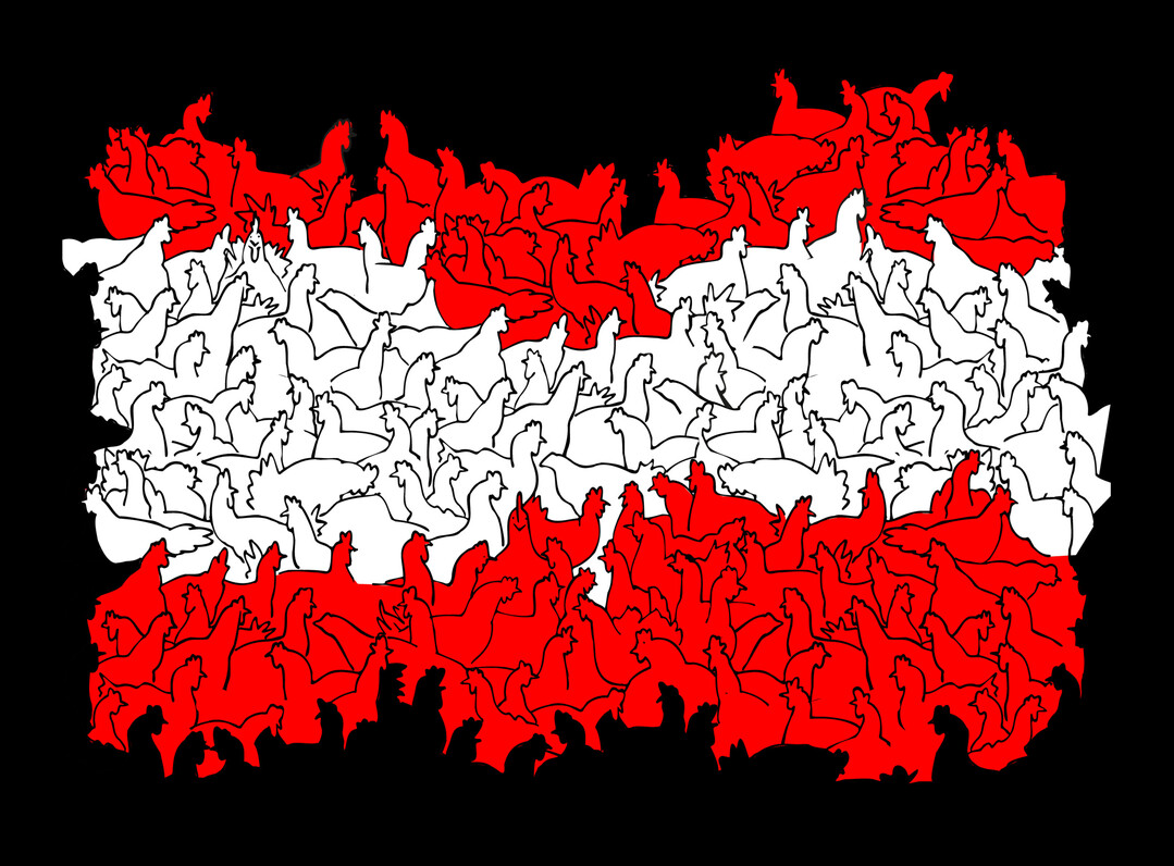 Der aktuelle Fall in Österreich markiert den ersten Fund bei gehaltenem Geflügel in diesem Seuchenzug. Bisher waren nur Wildvögel, vor allem Schwäne, betroffen.