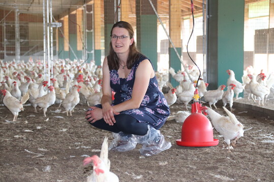 Der Arbeitsalltag von Bente
Bronsema ist geprgt durch eine
knappe Arbeitszeit, da die
Tierhalterin hauptschlich morgens
die Arbeiten erledigt, um nachmittags
Zeit fr ihre Kinder zu haben.  