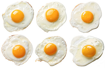 Eier gehren zu den wenigen hufig verzehrten Lebensmitteln, die von Natur aus reich an Cholin sind, einem Nhrstoff, dessen Rolle bei der Frderung der kognitiven Entwicklung von Suglingen und Kleinkindern sowie bei deren Erhaltung im Alterungsprozess genauer untersucht wird.