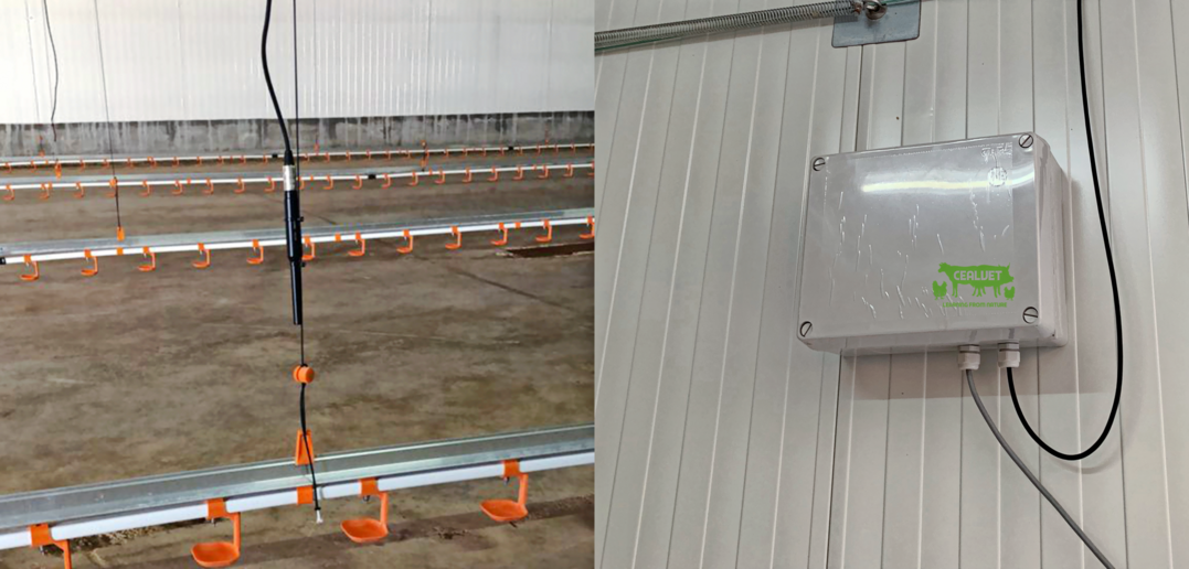 Mikrofon und Prozessor in einem leeren Stall, an einer Stallwand installiert.