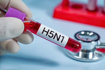 In Niedersachsen und Sachsen wurden zwei neue Flle von H5N1 durch das FLI besttigt. 