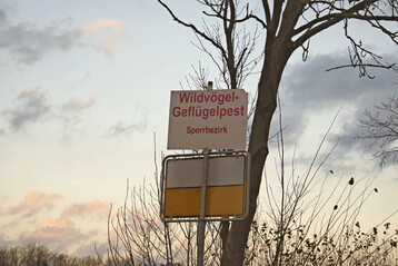 EU-Behrden warnen vor weiteren Vogelgrippe-Ausbrchen bis Winterende.