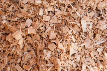 Ein US-Forschungsteam der Auburn University (USA) hat untersucht, wie sich neue gegen�ber wiederverwendeter Einstreu auf mikrobielle und physiologische Prozesse im Darm von Broilern auswirkt.