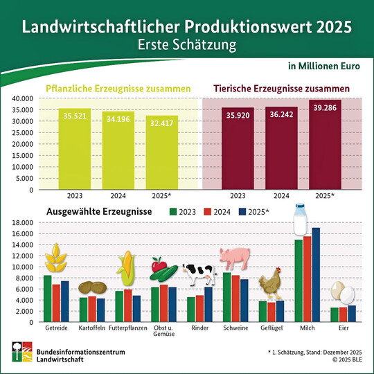 Geflügel erzielte 2025 einen Produktionswert von rund 4,0 Milliarden Euro und lag damit über dem Vorjahresniveau. Im Vergleich zu 2023 zeigt sich ein kontinuierlicher Aufwärtstrend. Damit gehört Geflügel – neben Milch und Rindern – zu den stabilen Säulen der tierischen Erzeugung. Auch Eier legten zu und erreichten einen Produktionswert von gut 3,1 Milliarden Euro.