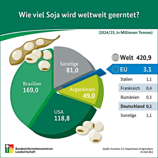 Soja weltweit: 421 Mio. t Ernte 2024/25, davon rund 80 % aus Brasilien, den USA und Argentinien. Die EU spielt mengenm��ig eine untergeordnete Rolle.