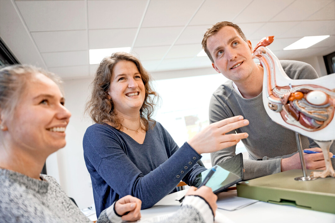 Der eigene Schwerpunkt beim Masterstudium Angewandte Nutztierwissenschaften kann auch auf eine Tierart (Gefl�gel, Schwein, Rind, Pferd) und eine entsprechende Produktlinie oder auf einen �berblick �ber alle Nutztierarten gelegt werden.