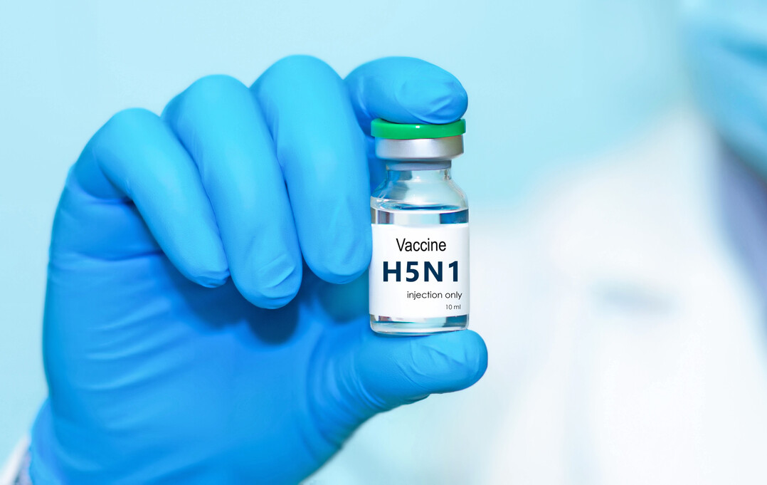 Impfstoffe werden international als erg�nzendes Instrument zur HPAI-Bek�mpfung diskutiert. In Deutschland liegt aktuell keine Zulassung vor.