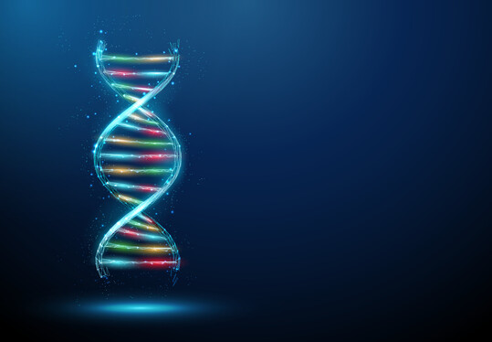 Neue genomische Techniken erm�glichen gezielte Ver�nderungen im Erbgut von Pflanzen und werden in der EU k�nftig differenziert reguliert.