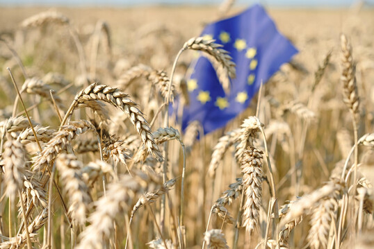 Die Online-Plattform FarmBook der EU sammelt und teilt landwirtschaftliche Forschungsprojekte der EU f�r Praktiker und Beratungsdienste.