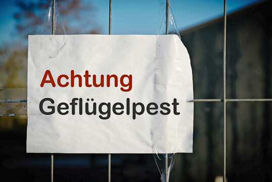 Gefl�gelpest-Verdacht im Stall: Jetzt entscheidet konsequentes Handeln �ber das weitere Ausbruchsgeschehen.                                    