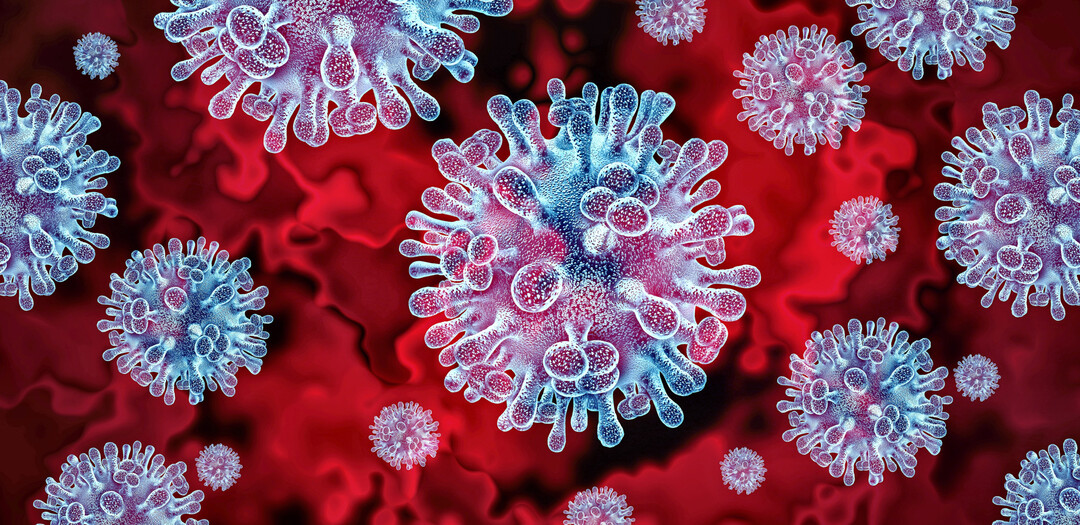 Neue Ausbr�che der hochpathogenen Avi�ren Influenza wurden aus drei Bundesl�ndern best�tigt. 