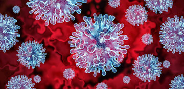 Neue Ausbr�che der hochpathogenen Avi�ren Influenza wurden aus drei Bundesl�ndern best�tigt. 