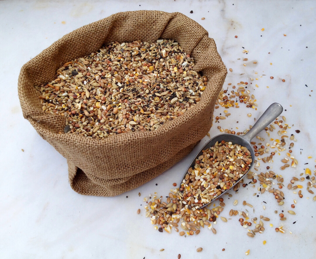 Mykotoxine im Geflügelfutter erfordern eine Betrachtung entlang der gesamten Wertschöpfungskette. Sie entstehen überwiegend bereits im Pflanzenbau und lassen sich später nur begrenzt kontrollieren.