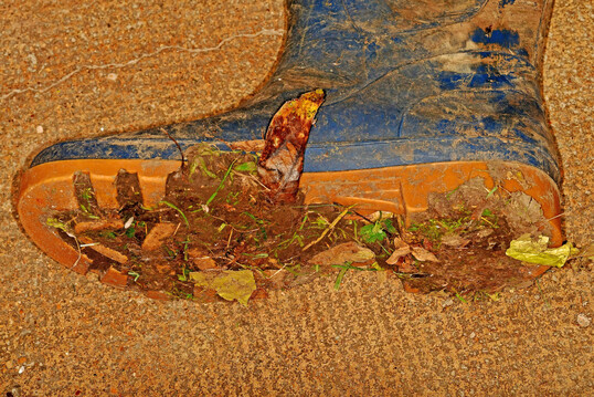 Dreck kann man nicht desinfizieren. Arbeitsschuhwerk ist deswegen vor Betreten der Legehennenhaltung zu reinigen.