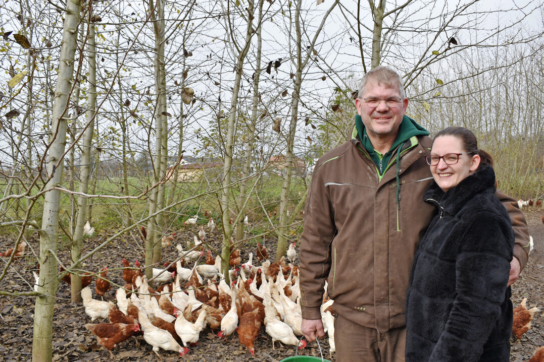 Nicole und Markus Haslbeck setzen konsequent auf Mobilstallhaltung mit Auslauf. Transparenz und Sichtbarkeit der Tierhaltung geh�ren f�r den Betrieb zum Vermarktungskonzept. 