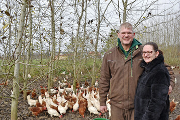 Nicole und Markus Haslbeck setzen konsequent auf Mobilstallhaltung mit Auslauf. Transparenz und Sichtbarkeit der Tierhaltung geh�ren f�r den Betrieb zum Vermarktungskonzept. 