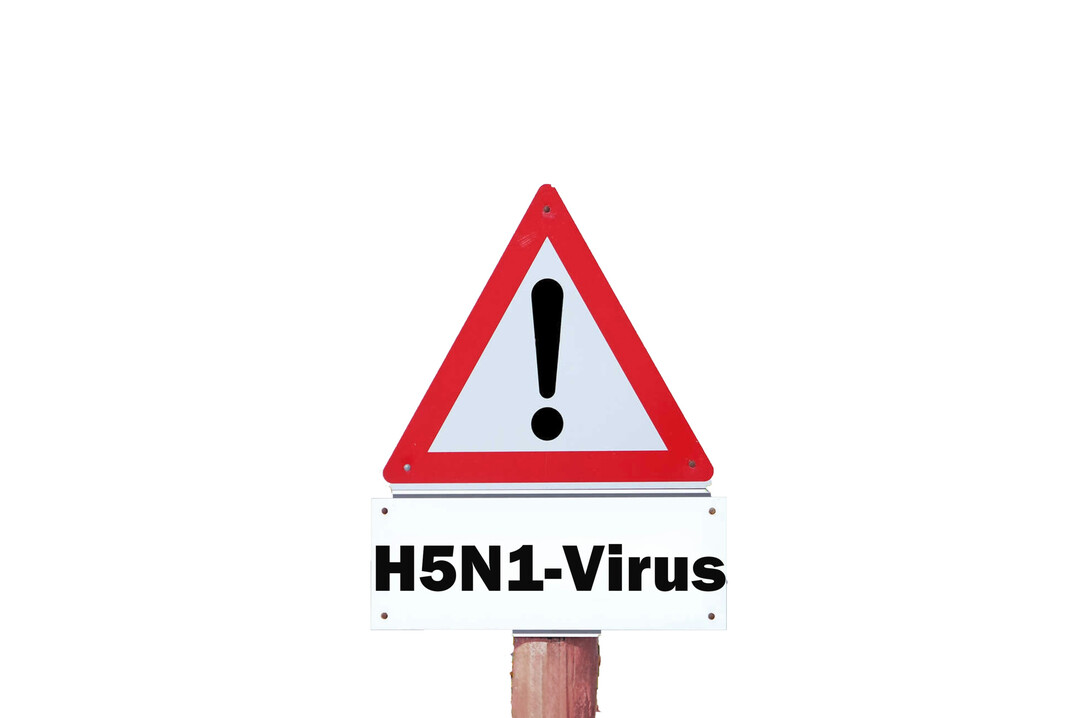 HPAI H5N1 in Kleinsthaltung im Landkreis Diepholz nachgewiesen