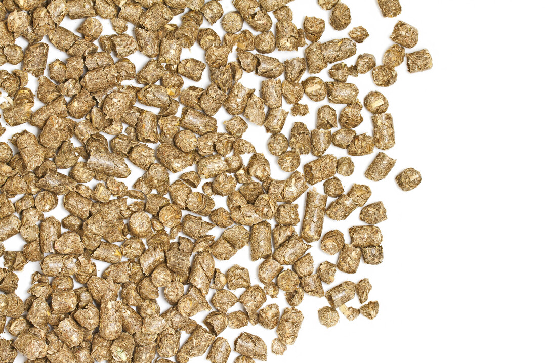 Die Wahl des Einstreumaterials wirkt sich auf Feuchte, mikrobielle Prozesse und damit auf die Ammoniakfreisetzung im Stall aus. Strohpellets werden in diesem Zusammenhang zunehmend untersucht.