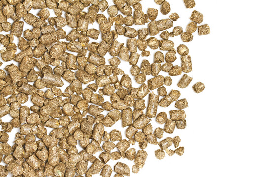 Die Wahl des Einstreumaterials wirkt sich auf Feuchte, mikrobielle Prozesse und damit auf die Ammoniakfreisetzung im Stall aus. Strohpellets werden in diesem Zusammenhang zunehmend untersucht.