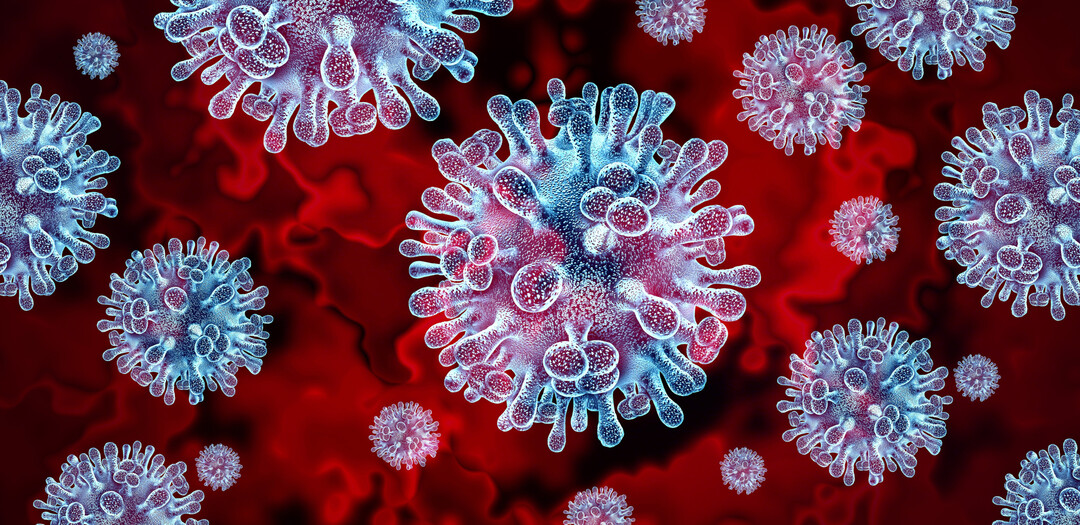 In Argentienien gab es einen erneuten Ausbruch der Avi�ren Influenza. Damit wird auch der Gefl�gelfleischhandel wieder beschr�nkt.