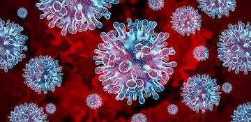 In Argentienien gab es einen erneuten Ausbruch der Aviären Influenza. Damit wird auch der Geflügelfleischhandel wieder beschränkt.