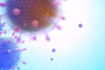 Das Landeslabor hat das aviäre Paramyxovirus Typ 1 (APMV-1) nachgewiesen, den Erreger der Newcastle-Krankheit – einer hochansteckende Viruserkrankung bei Geflügel. In Deutschland besteht deshalb eine bundesweite Impfpflicht für Hühner- und Putenbestände.