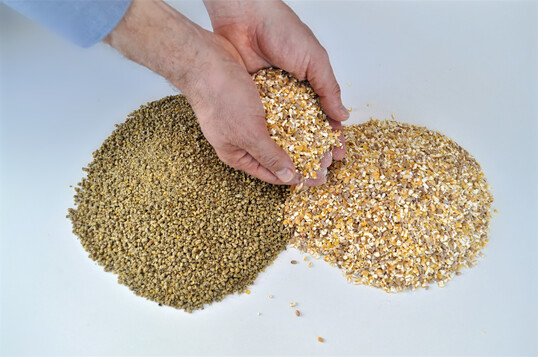 Die Rationsgestaltung in der Bio-Legehennenhaltung kann durch Einschr�nkungen bei Zusatzstoffen, schwankende Rohstoffqualit�ten und enge regulatorische Vorgaben erschwert werden.