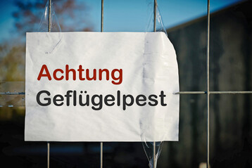 Nach dem Ausbruch der Gefl�gelpest in einem H�hnerbestand im Landkreis Dachau wurden rund um den Betrieb Schutz- und �berwachungszonen eingerichtet. In diesen Gebieten liegen nach Beh�rdenangaben mehr als 400 Gefl�gelhaltungen mit etwa 120.000 Tieren.