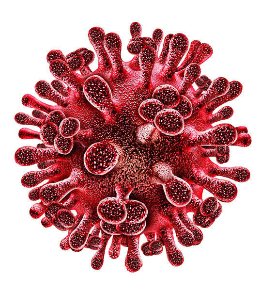 3D-Darstellung eines H5N1-Influenzavirus. Auf der Oberfläche der Viruspartikel sitzen die beiden Glykoproteine Hämagglutinin (H) und Neuraminidase (N). Hämagglutinin ermöglicht das Andocken an die Wirtszelle, Neuraminidase unterstützt später die Freisetzung neu gebildeter Viruspartikel. Im Inneren befinden sich die acht RNA-Genomsegmente, die das Erbgut des Virus tragen.