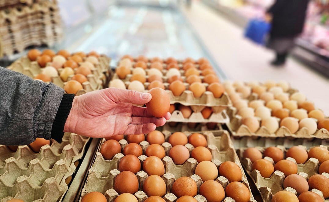 Laut ZDG gelingt eine stabile Belieferung des Lebensmittelhandels.