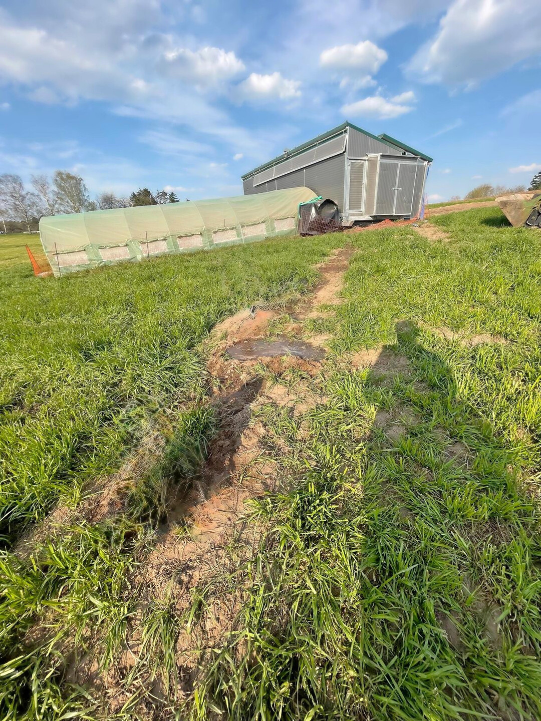 Übernetzte oder überdachte Ausläufe können helfen, den Kontakt zu Wildvögeln zu reduzieren und gleichzeitig Struktur zu erhalten. In Aufstallungsphasen sind solche Bereiche wichtig, damit Hennen weiterhin Bewegung, Licht und Beschäftigung haben.