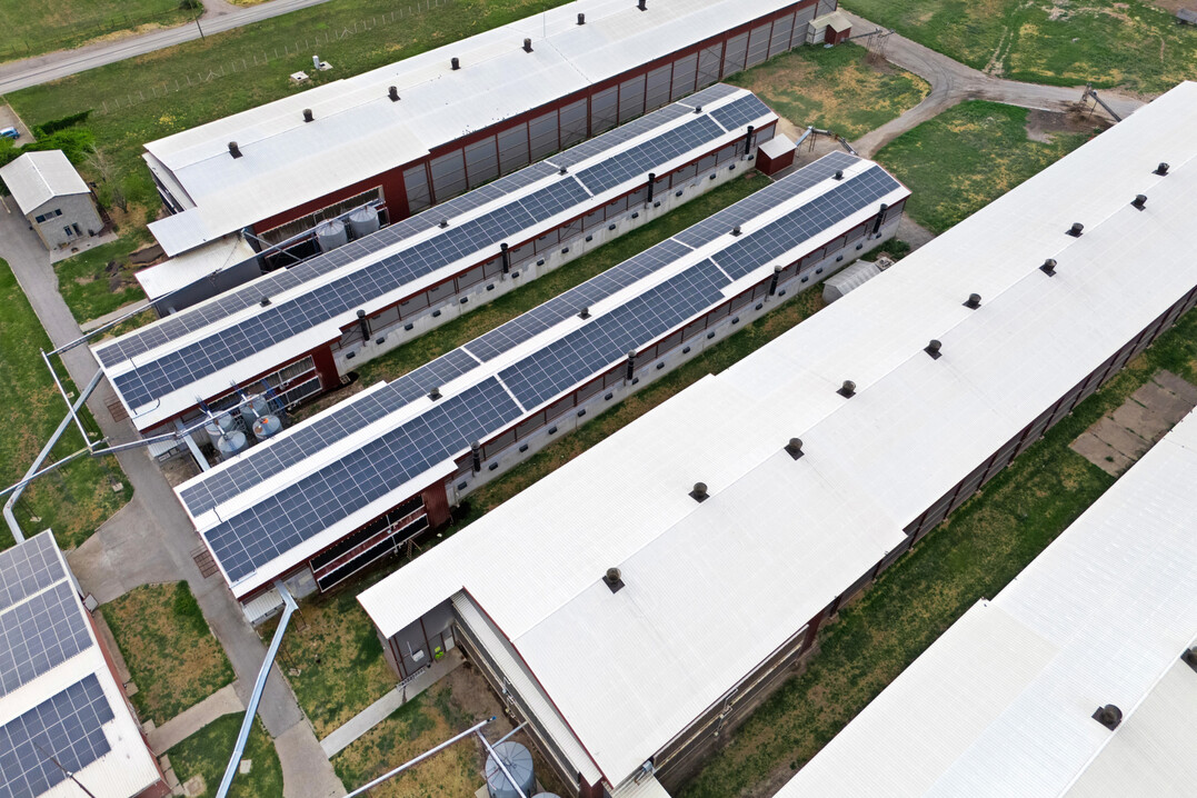 Minister Rainer lehnt Forderung des Haushaltsausschusses ab. Die Förderung von Stallumbauten soll künftig wieder im Rahmen der Gemeinschaftsaufgabe „Verbesserung der Agrarstruktur und des Küstenschutzes“ (GAK) über das Agrarinvestitionsprogramm (AFP) realisiert werden.