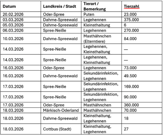 Die Tabelle zeigt die ND–Fälle mit Tierzahl und Landkreis seit Beginn der Ausbrüche in Brandenburg. Die Anzahl der verendeten Tiere beläuft sich auf 1.563.551.