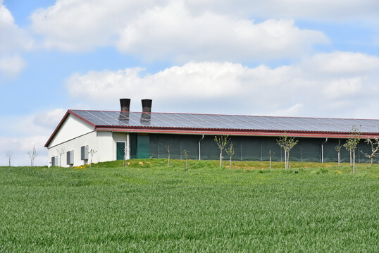 Gefl�gelstall mit Solaranlage auf dem Dach. Ein Betrieb, der mehrere Betriebszweige, z. B. Tierhaltung, Futterproduktion und Bioenergie regional verkn�pft, kann bei Banken punkten.