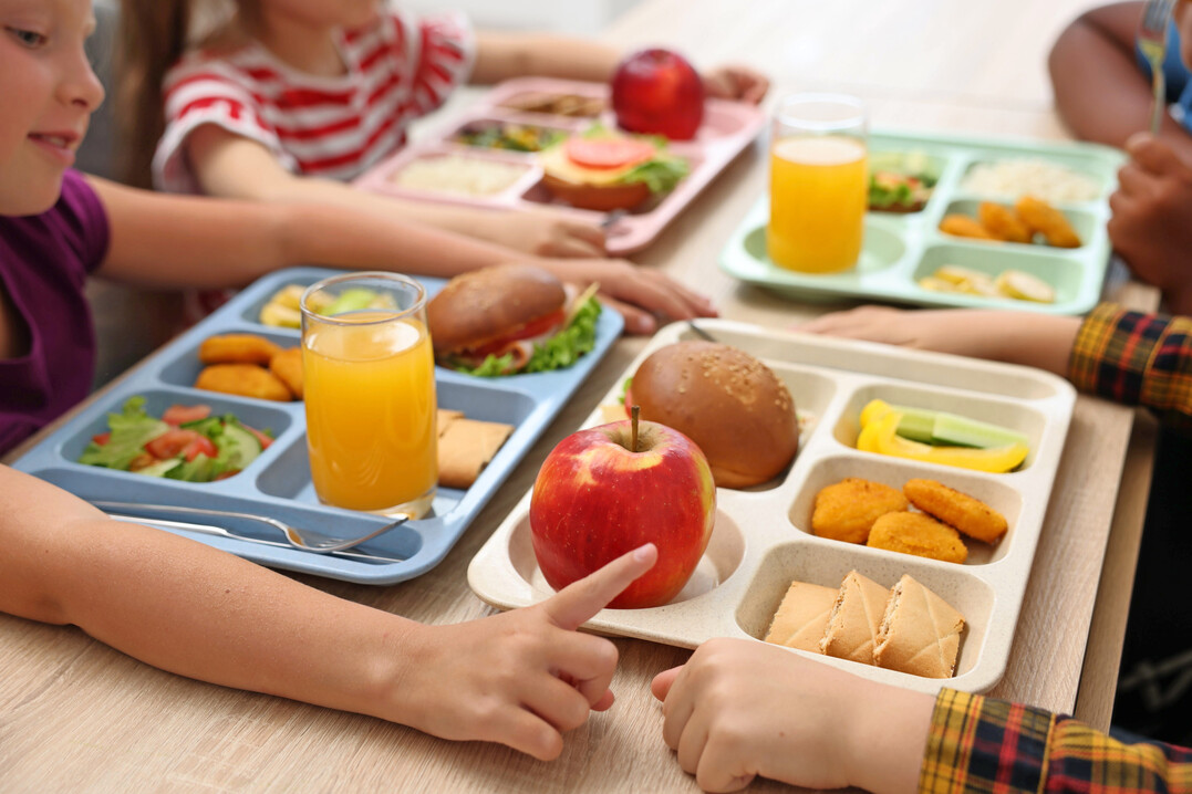 Ein zentrales Ergebnis der Studie: Eiwei� entwickelt sich zunehmend zu einem neuen Ma�stab f�r Qualit�t in der Schulverpflegung. 