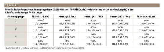 Tabelle 1: Die Mischungen enthielten durchgehend abgesenkte Energiegehalte (AMEN, scheinbare umsetzbare Energie, stickstoffkorrigiert) sowie abgestufte Aminosäurengehalte (Tabelle 1). Alle Fütterungsgruppen erhielten innerhalb der jeweiligen Phase isoenergetische Mischungen.