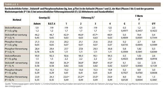 Stickstoff- und Phosphoransatz im Ganzkörperzuwachs sowie die entsprechende Nährstoffverwertung.
