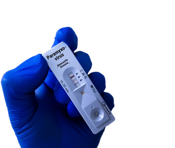 Das aktuelle ND-Geschehen betrifft vor allem gro�e Legehennenbest�nde und hat innerhalb weniger Wochen eine Gr��enordnung von mehreren Millionen Tieren erreicht.