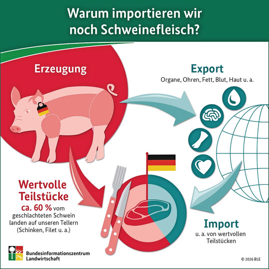 Darum wird noch Fleisch importiert.