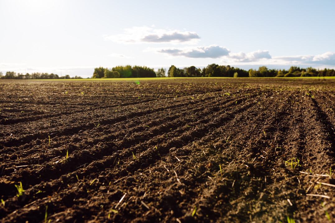 Wie stark D�ngungsma�nahmen das Grundwasser belasten, soll k�nftig systematisch erfasst werden. Das geplante Monitoring liefert daf�r betriebsnahe Daten und entscheidet mit dar�ber, wie zielgenau Auflagen k�nftig greifen.