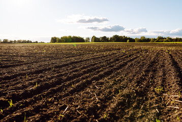 Wie stark D�ngungsma�nahmen das Grundwasser belasten, soll k�nftig systematisch erfasst werden. Das geplante Monitoring liefert daf�r betriebsnahe Daten und entscheidet mit dar�ber, wie zielgenau Auflagen k�nftig greifen.
