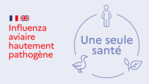 Bis Anfang April erhielten in Frankreich gut 21 Millionen Enten jeweils zwei Impfungen gegen die Geflügelpest.