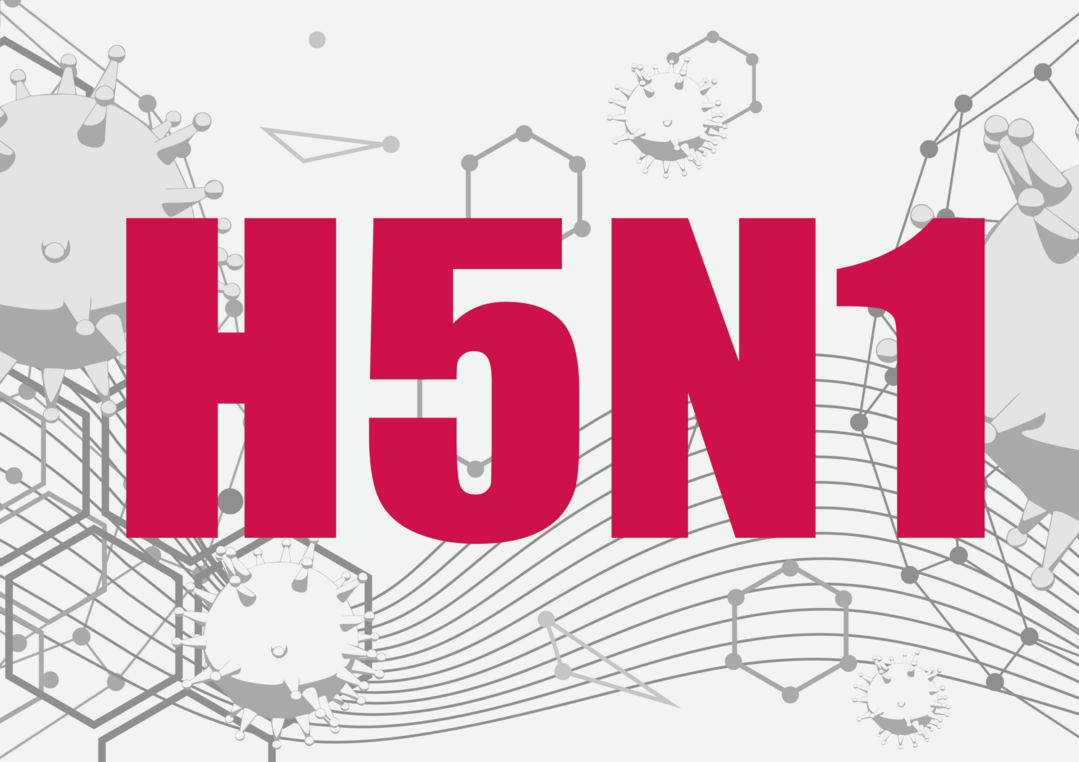 In den USA breiten sich H5N1-Viren bei Milchkhen weiter aus.
