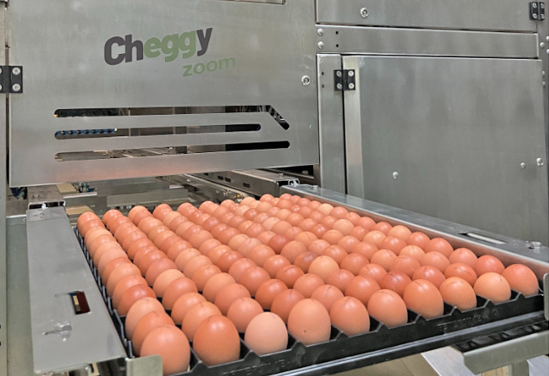 Das Cheggy-Zoom-Verfahren zur Geschlechtsbestimmung im Ei basiert auf hyperspektraler Bildgebung.