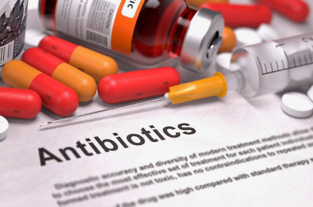 Bei der Haltung von Masthhnern stehen heute der One-Health-Ansatz und die Reduktion von Antibiotikaresistenzen im Mittelpunkt.