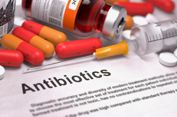 Bei der Haltung von Masthhnern stehen heute der One-Health-Ansatz und die Reduktion von Antibiotikaresistenzen im Mittelpunkt.